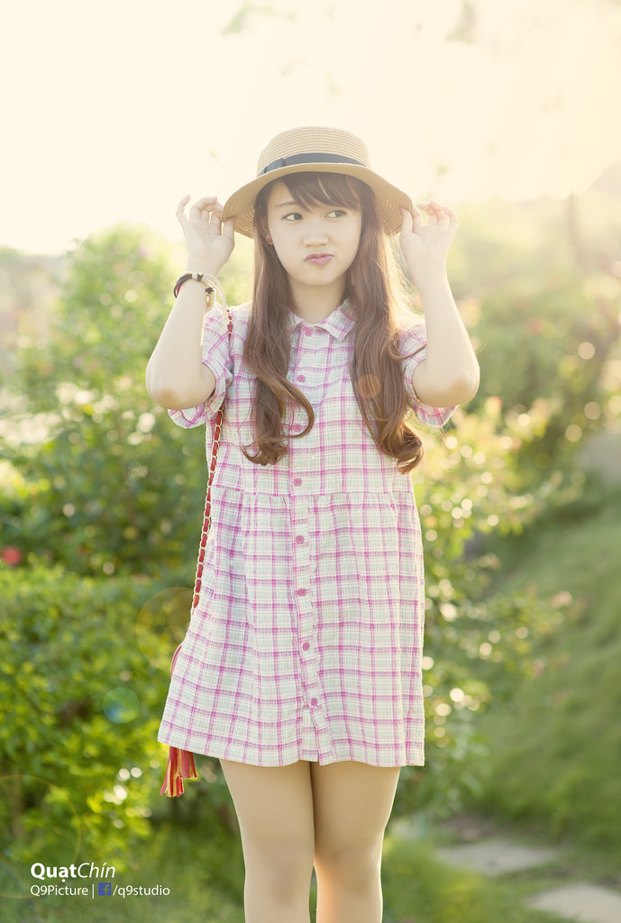 孤岛飞鹰